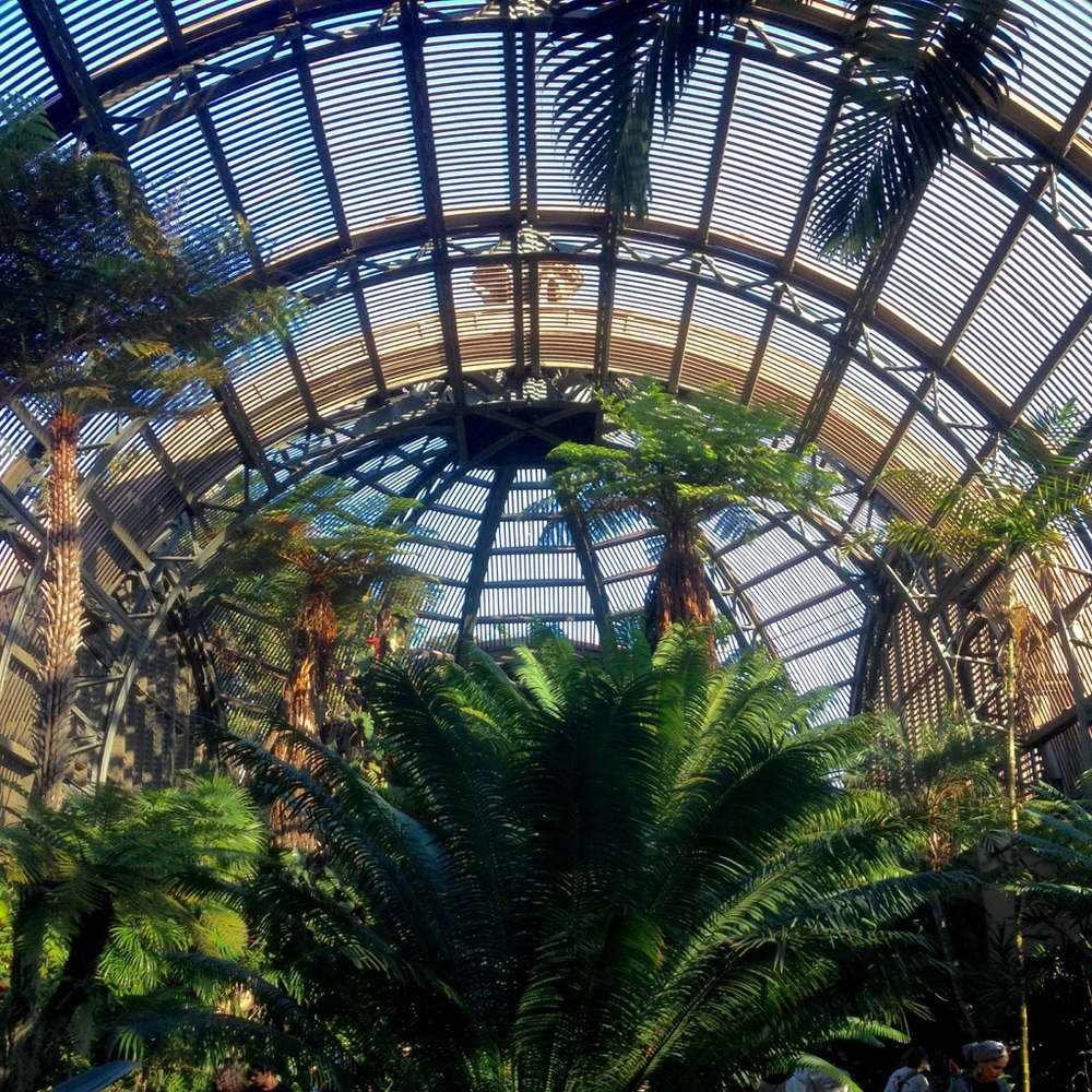 Meet your Posher, Christa